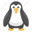 penguin, animal, artic, snow, tuxedo, winter, zoo 