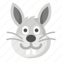 rabbit, animal, bunny, easter, furry, hare, pet