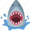 shark, attack, breach, danger, ocean, warning, wildlife 