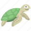 turtle, animal, ocean, reptile, sea, tortoise 