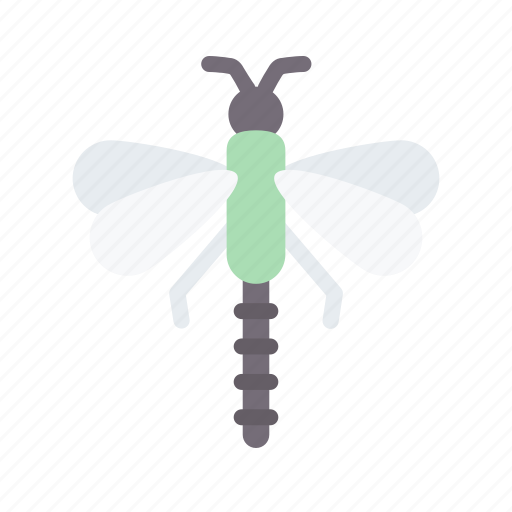 Dragonfly, animal, face, avatar, nature icon - Download on Iconfinder
