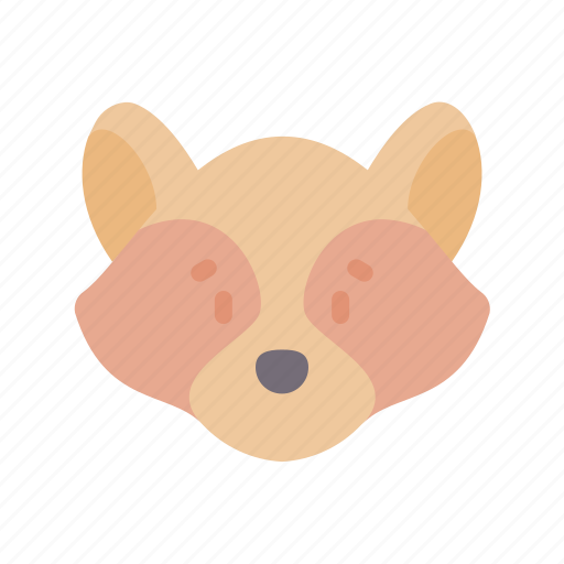 Raccoon, animal, face, avatar, nature icon - Download on Iconfinder