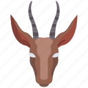 gazell 