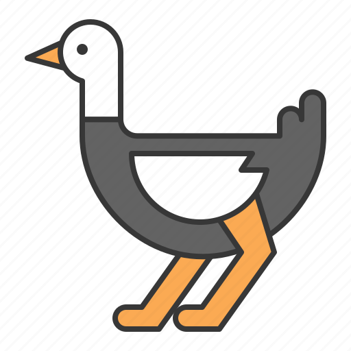 Animal, bird, ostrich, wildlife, zoo icon - Download on Iconfinder