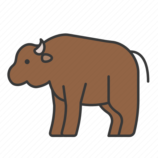 Animal, bison, mammal, wildlife, zoo icon - Download on Iconfinder