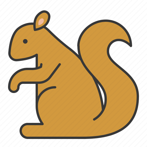 Animal, mammal, squirrel, wildlife, zoo icon - Download on Iconfinder