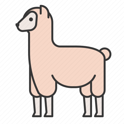 Alpaca, animal, mammal, wildlife, zoo, llama icon - Download on Iconfinder