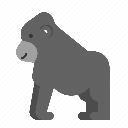 Animal, gorilla, mammal, wildlife, zoo icon - Download on Iconfinder