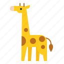 animal, giraffe, mammal, wildlife, zoo