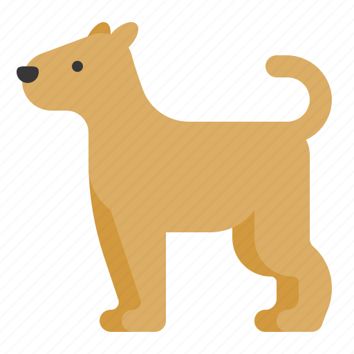 Animal, dog, mammal, wildlife, zoo icon - Download on Iconfinder