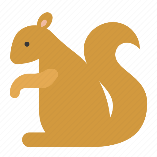 Animal, mammal, squirel, wildlife, zoo icon - Download on Iconfinder