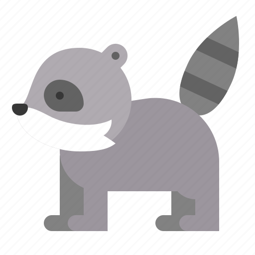 Animal, mammal, raccoon, wildlife, zoo icon - Download on Iconfinder