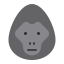 animal, cartoon, fauna, gorilla, herbivore, monkey, zoo 