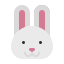 animal, bunny, cartoon, fauna, herbivore, rabbit, zoo 