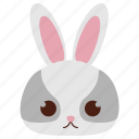 rabbit, bunny, easter, animal
