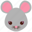 mouse, rat, mice, animal 