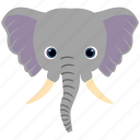 elephant, wildlife, zoo, animal