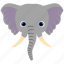 elephant, wildlife, zoo, animal 