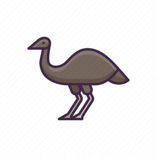 Emu, animal, zoo, wild icon - Download on Iconfinder