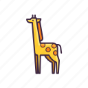 giraffe, animal, zoo, wild