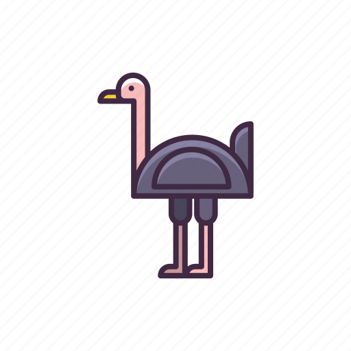 Ostrich, bird, feather, nature icon - Download on Iconfinder