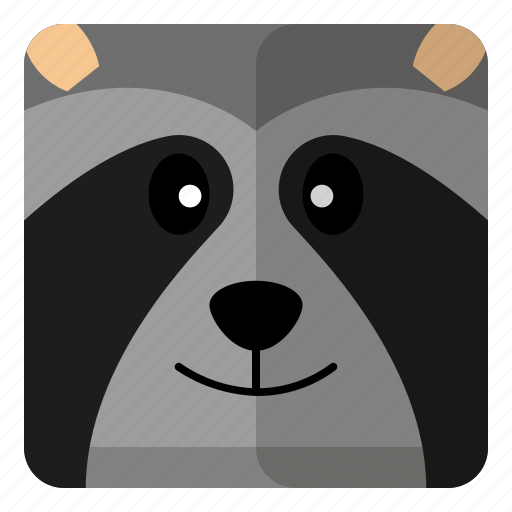Animal, cute, racoon, zoo icon - Download on Iconfinder