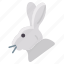 rabbit 
