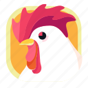 animal, app, chicken, pet, rooster, wildlife