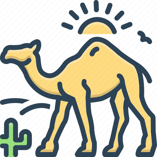 Cactus, camel, camel in desert with sun, dune, landscape, sand, sunset icon - Download on Iconfinder