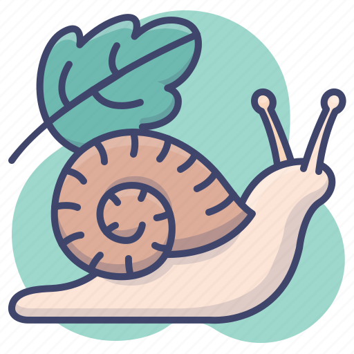 Snail, insect, shell, slow icon - Download on Iconfinder