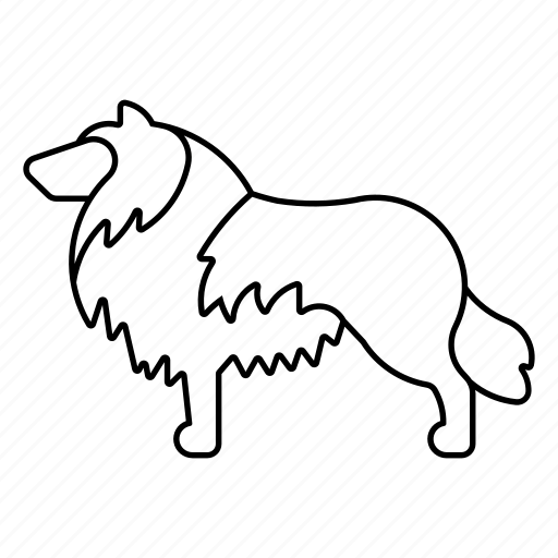 Border, collie, dog, herding, pet icon - Download on Iconfinder