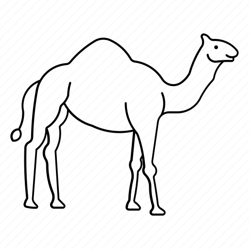 Camel, alpaca, hoofed, llama, lama icon - Download on Iconfinder