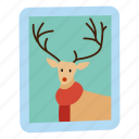 deer, photo, frame, character, reindeer, winter, portrait