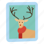deer, photo, frame, character, reindeer, winter, portrait 