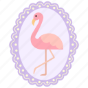 flamingo, photo, bird, zoo, portrait, decoration, frame