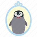 penguin, photo, frame, bird, zoo, portrait, gallery