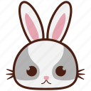 rabbit, bunny, easter, animal