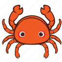 crab, sea, seafood, animal