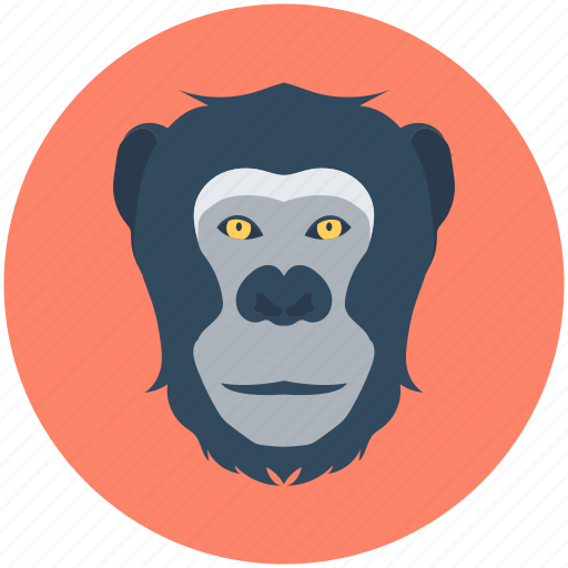 Animal, baboon, gorilla, macaque, monkey icon - Download on Iconfinder