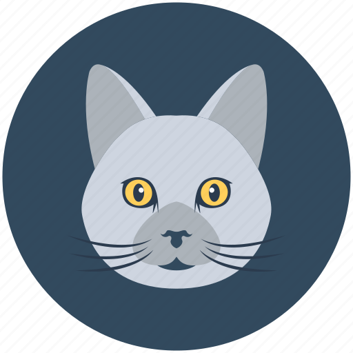 Cat, cute, feline, ginger, meow, pet, sit icon - Download on Iconfinder