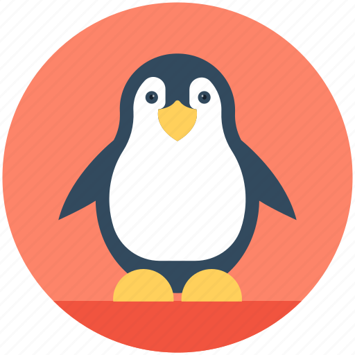 Animal, auk, emperor penguin, penguin, puffin icon - Download on Iconfinder