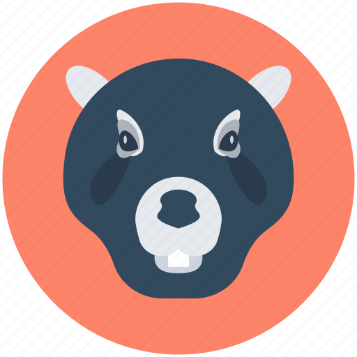Bear, bear face, grizzly bear, wildlife, zoo icon - Download on Iconfinder