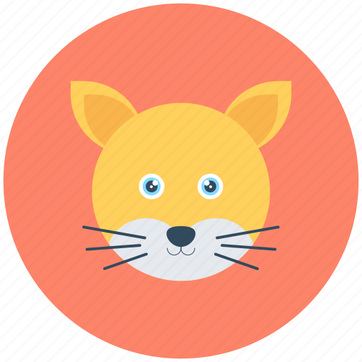 Animal, cat, coon, feline, lynx icon - Download on Iconfinder