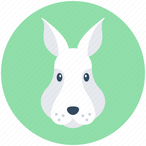 Animal, bunny, cony, hare, rabbit icon - Download on Iconfinder