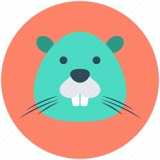 Field mouse, jerboa, mouse, rat, shrew icon - Download on Iconfinder