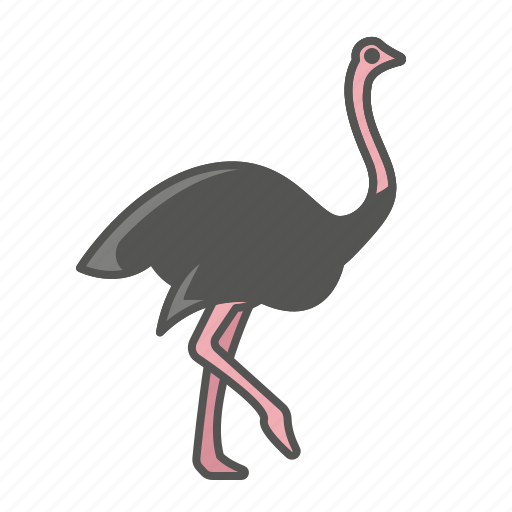 Animal, ostrich, wild icon - Download on Iconfinder