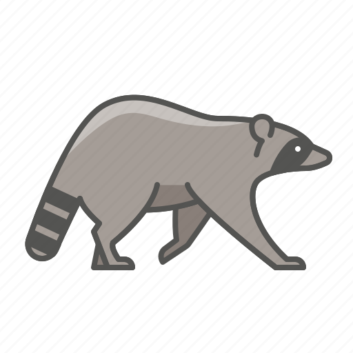 Animal, racoon, wild icon - Download on Iconfinder