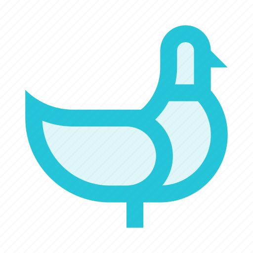 Animal, bird, chicken, dove, hen, pigeon icon - Download on Iconfinder
