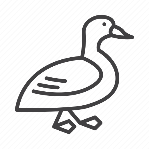Beak, bird, duck icon - Download on Iconfinder on Iconfinder
