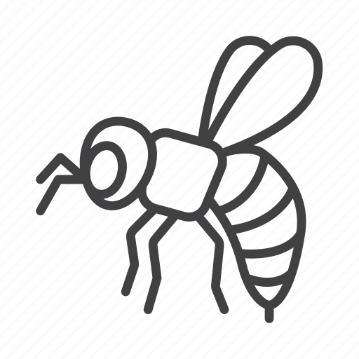 Bee, honey, honeybee icon - Download on Iconfinder